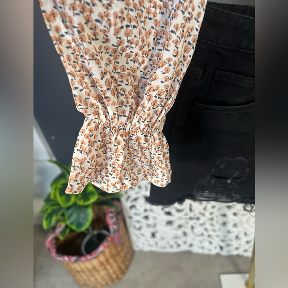 Polly - Picture 3 of 8